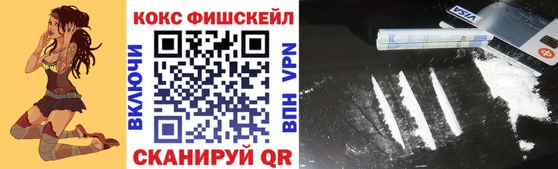 ОМГ ОМГ зеркало  Сурск  Кокаин Fish Scale 